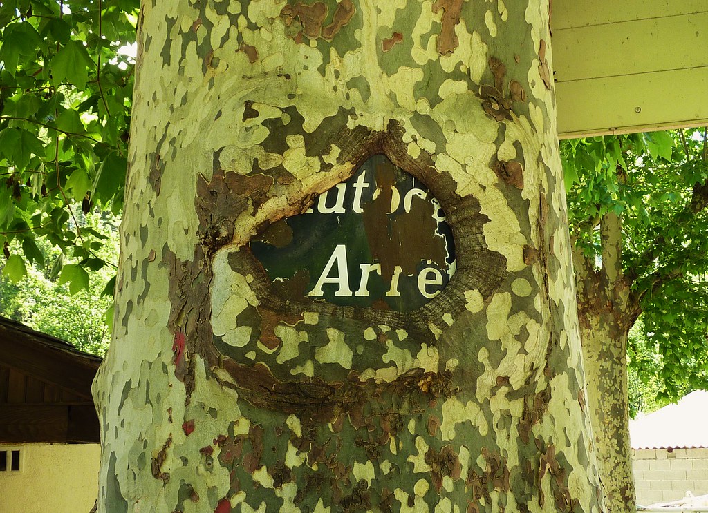 Méline